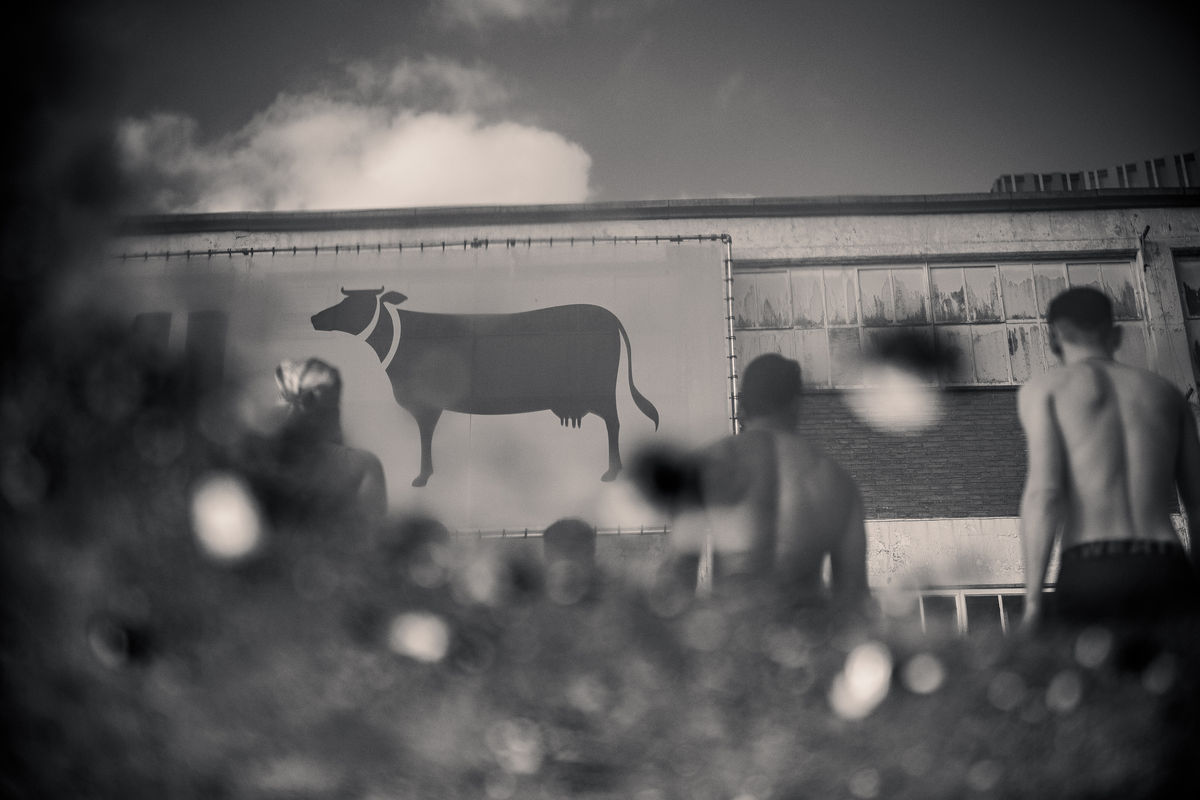 Loading... just a sec